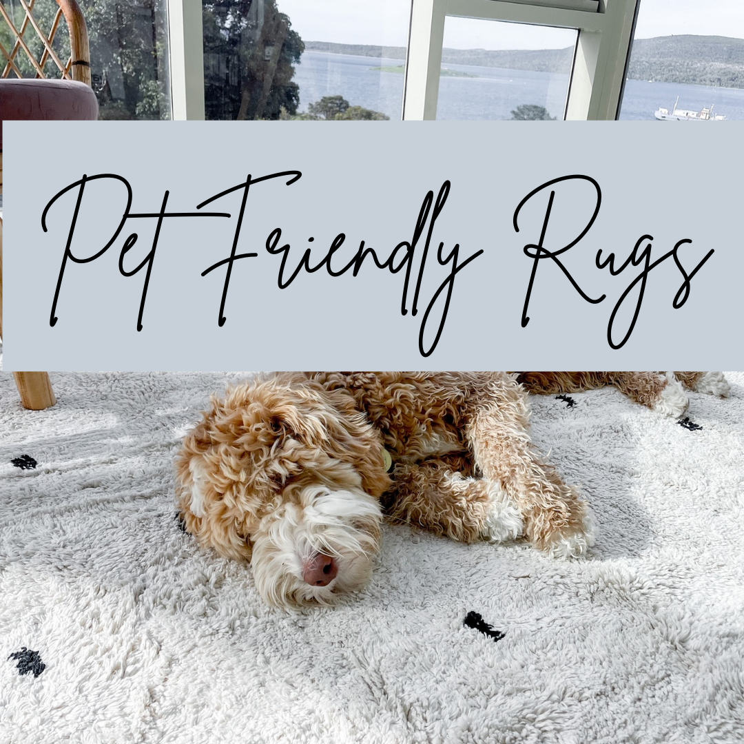 Pet Friendly Washable Cotton Rugs